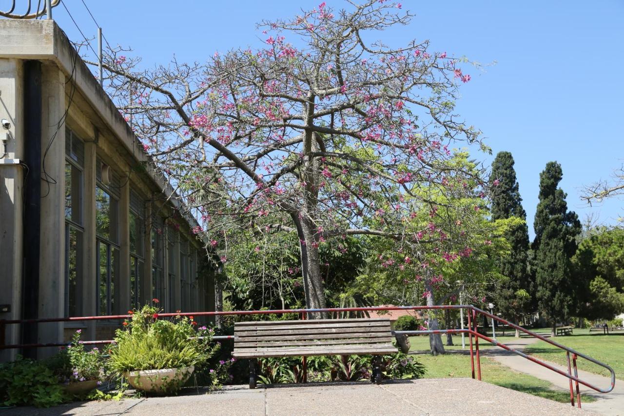 Masaryk Holiday Village Kefar Masaryk Exterior foto