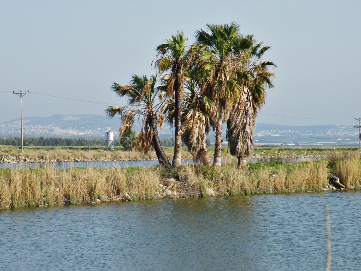 Masaryk Holiday Village Kefar Masaryk Exterior foto